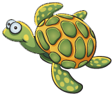 turtle
